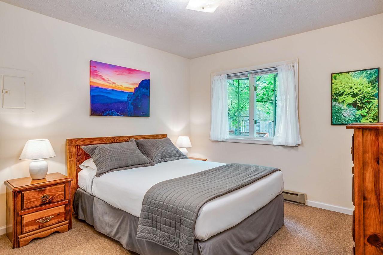 Love Ridge Mountain Lodging Lyndhurst 외부 사진