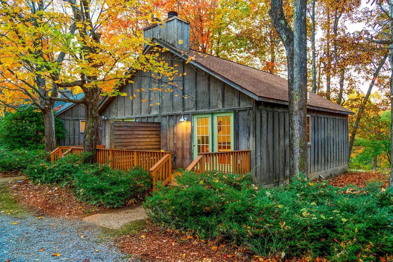 Love Ridge Mountain Lodging Lyndhurst 외부 사진