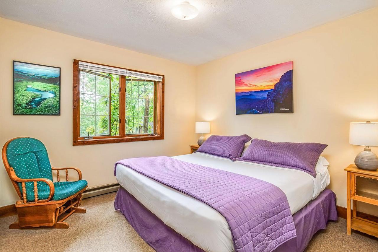 Love Ridge Mountain Lodging Lyndhurst 외부 사진