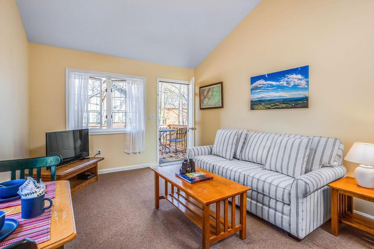 Love Ridge Mountain Lodging Lyndhurst 외부 사진