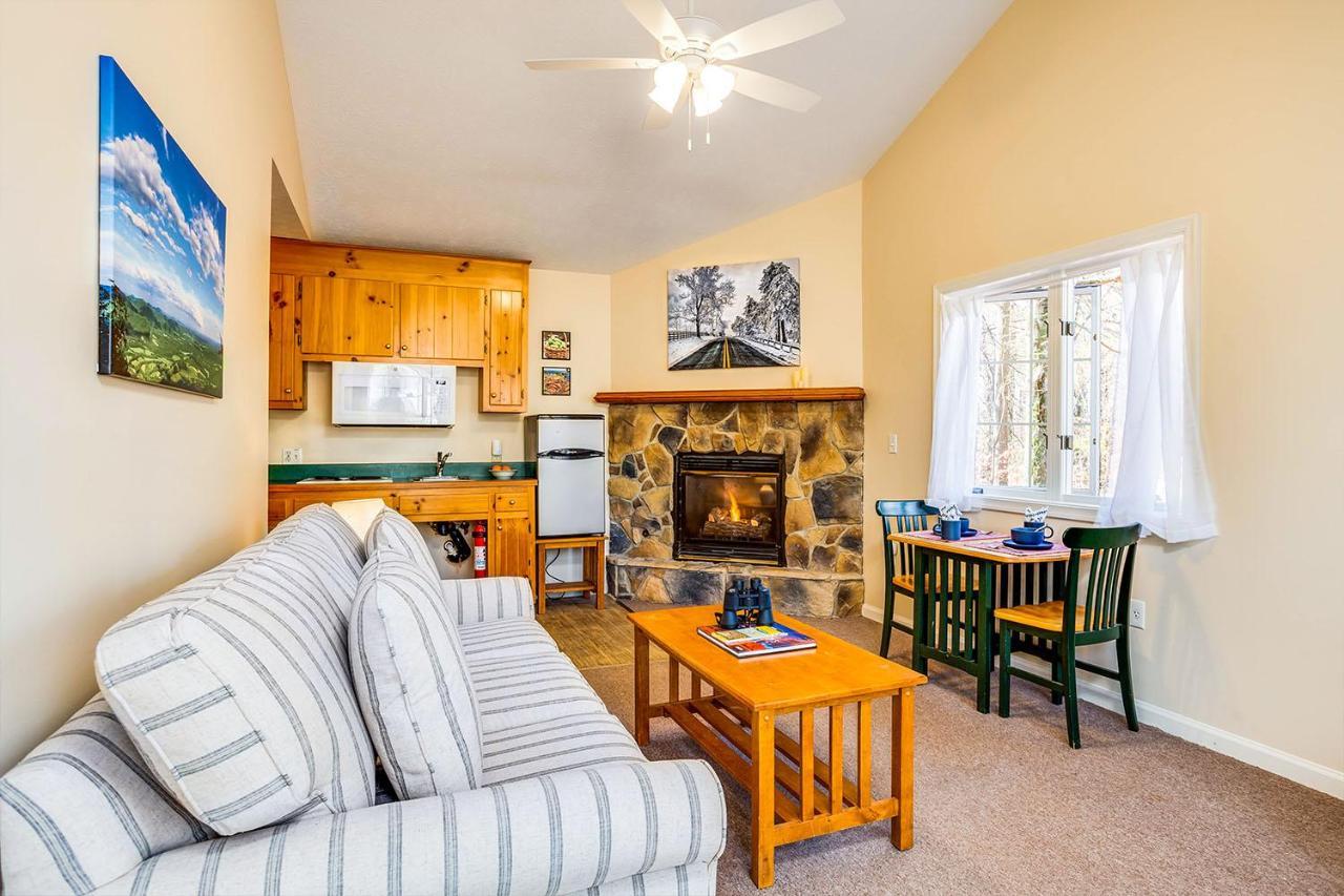 Love Ridge Mountain Lodging Lyndhurst 외부 사진