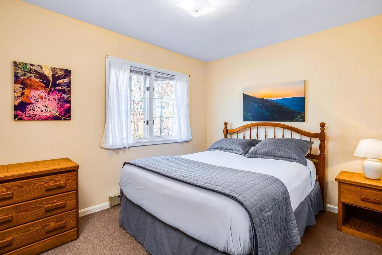 Love Ridge Mountain Lodging Lyndhurst 외부 사진
