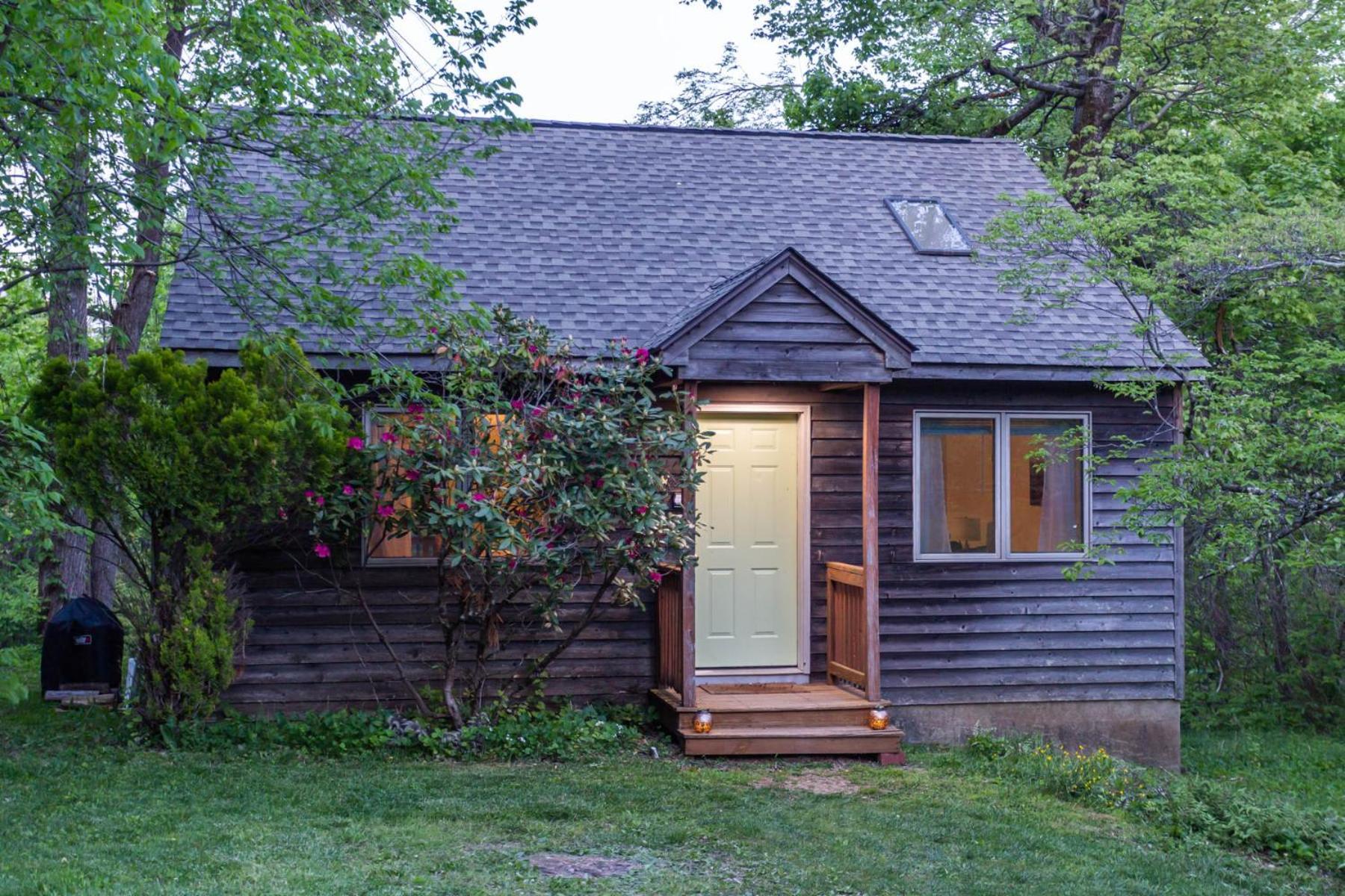 Love Ridge Mountain Lodging Lyndhurst 외부 사진