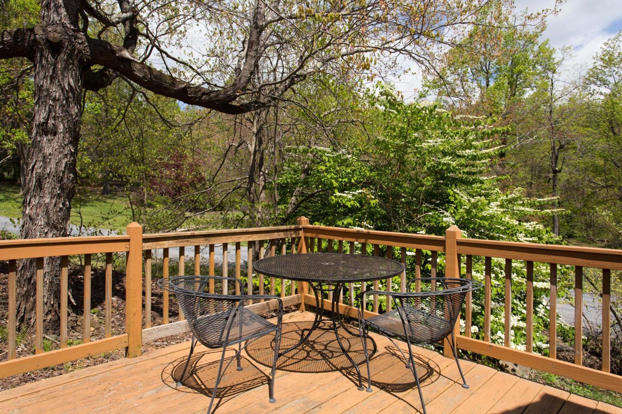 Love Ridge Mountain Lodging Lyndhurst 외부 사진